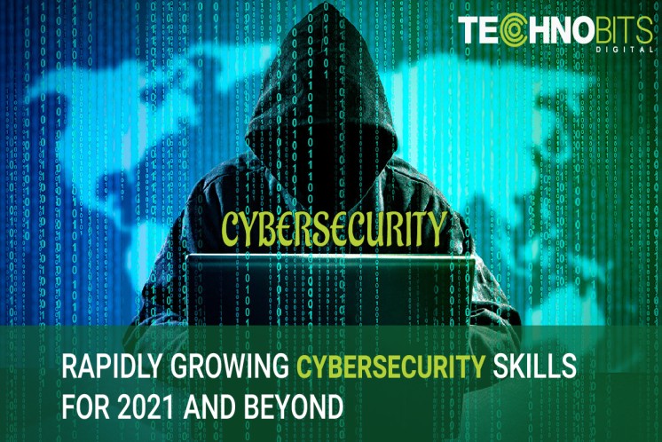 Rapidly growing cybersecurity skills